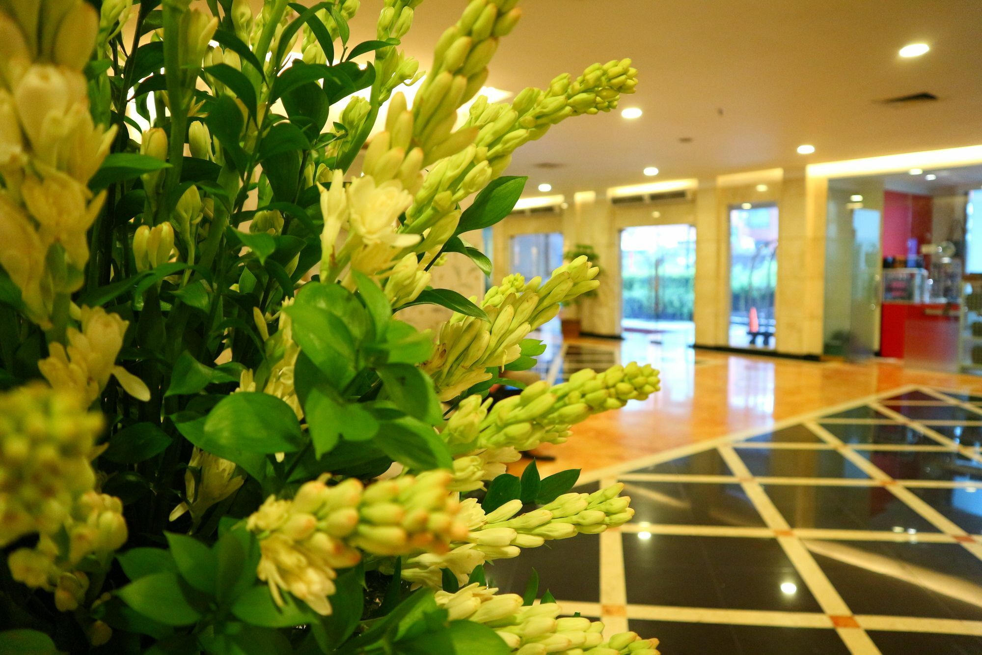 Horison Arcadia Mangga Dua Hotel Jakarta Bagian luar foto